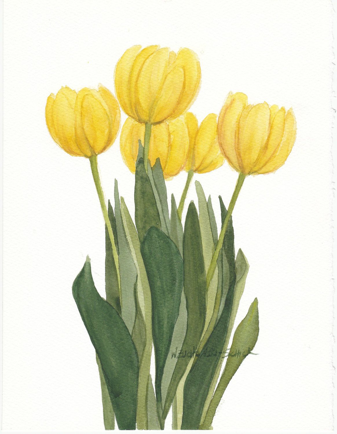 1164x1500 yellow tulip bunch original watercolor art i love yellow - Yellow Tulip Drawing