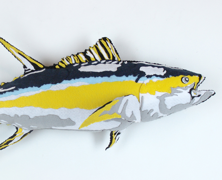 750x608 yellowfin tuna - Yellowfin Tuna Drawing