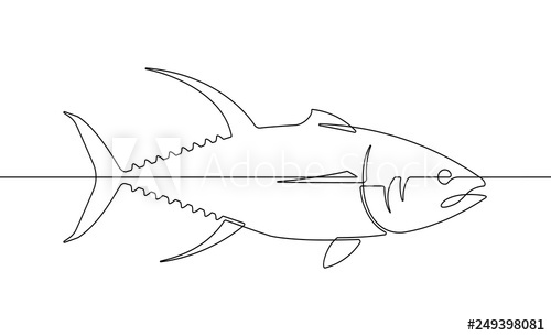500x305 yellowfin tuna fish continuous line vector graphic - Yellowfin Tuna Drawing