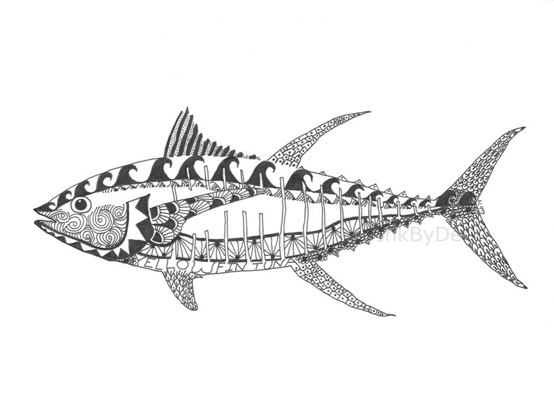 Yellowfin Tuna Drawing at Explore collection of