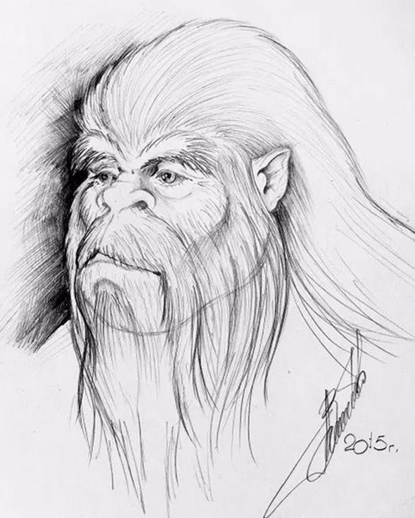 590x736 Man Claims This Drawing Is Of A 'real Yeti He Saw And Sketched - Yeti Drawing