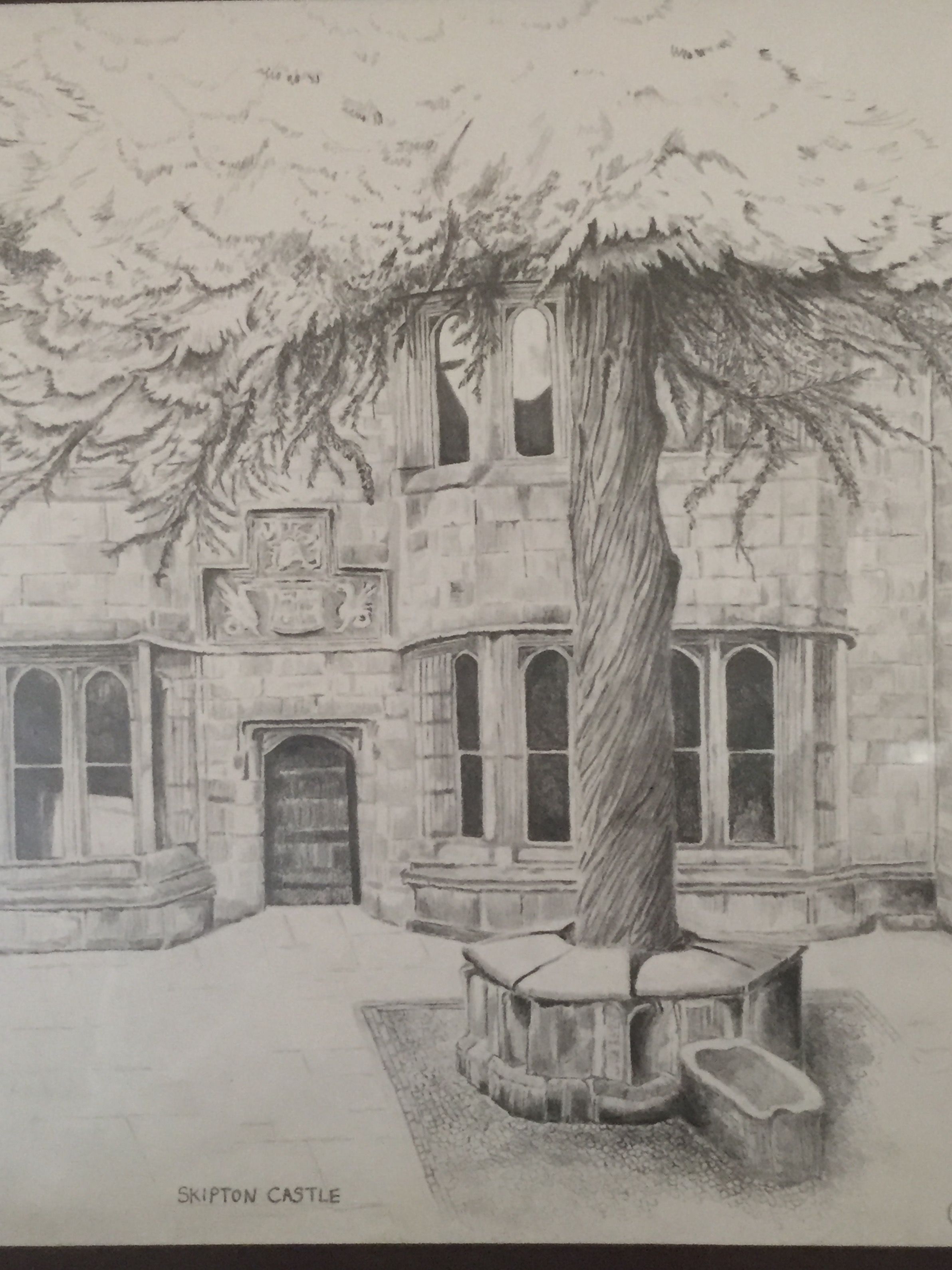 2384x3181 This Is A Pencil - Yew Tree Drawing
