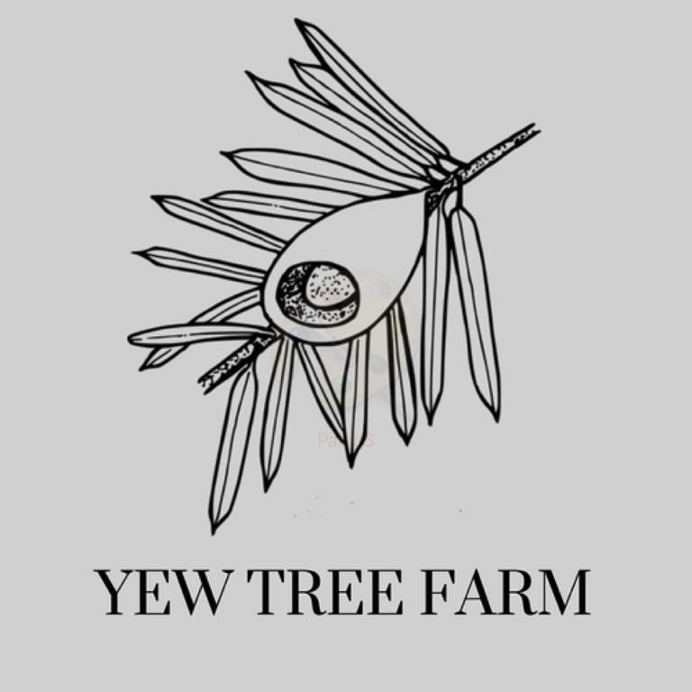 768x768 Vacation Home The Stable, Yew Tree Farm, Tattenhall, Chester, Uk - Yew Tree Drawing