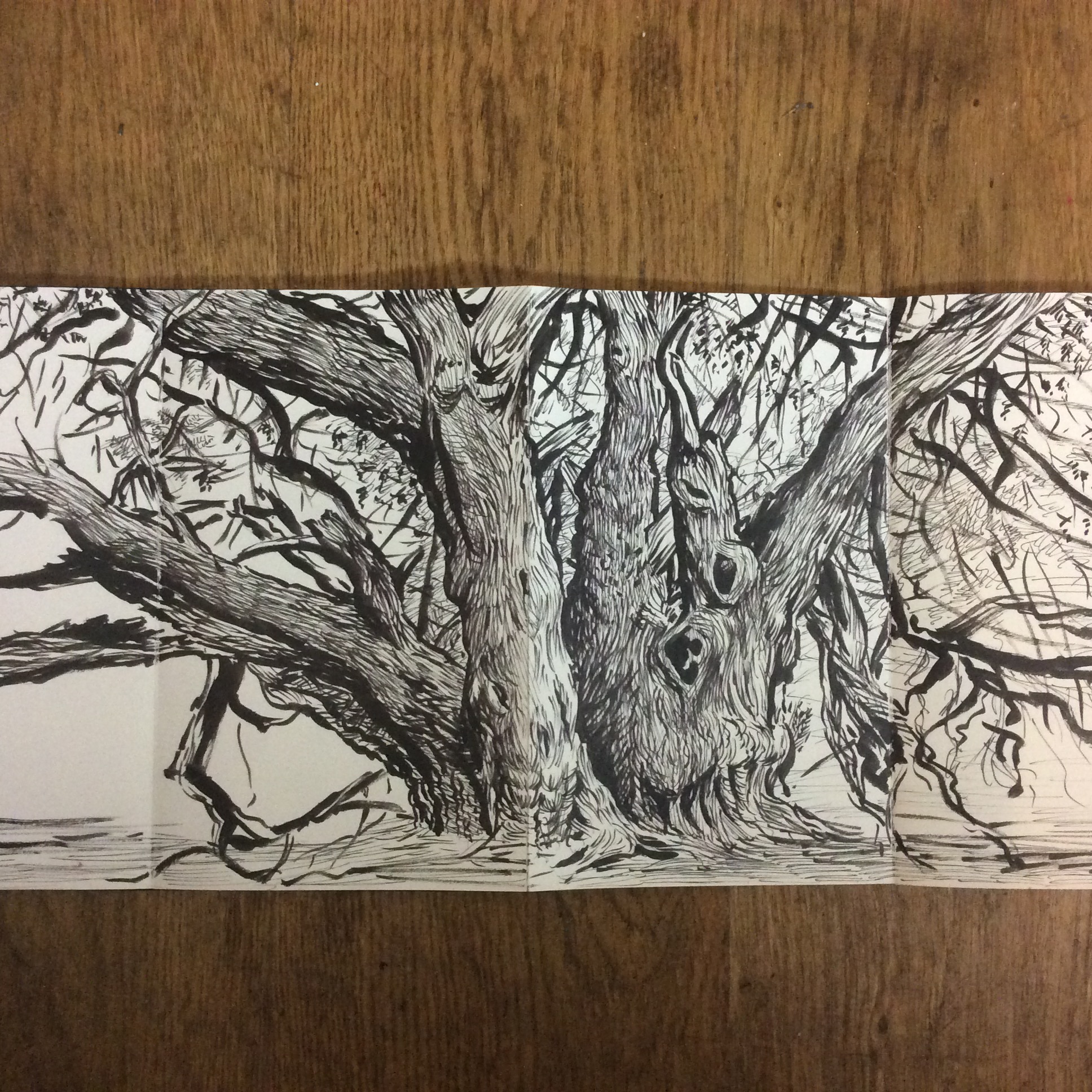 Yew Tree Drawing at PaintingValley.com | Explore collection of Yew Tree ...