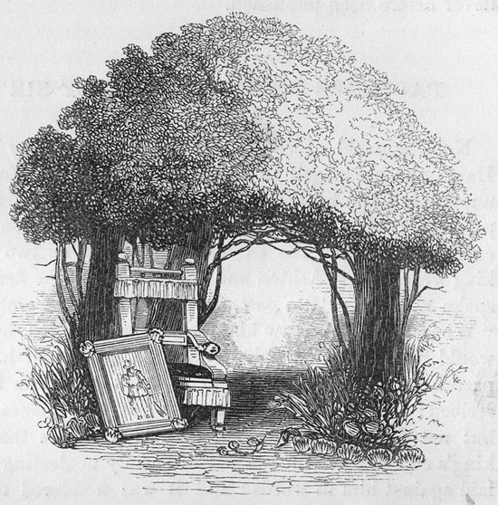 550x558 Youghal Yew Trees - Yew Tree Drawing