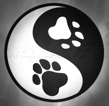 350x342 how to draw yin yang paws, step - Yin And Yang Drawing