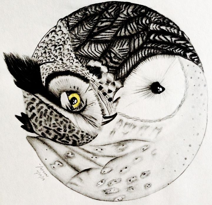 720x697 yin yang owl drawing - Yin And Yang Drawing