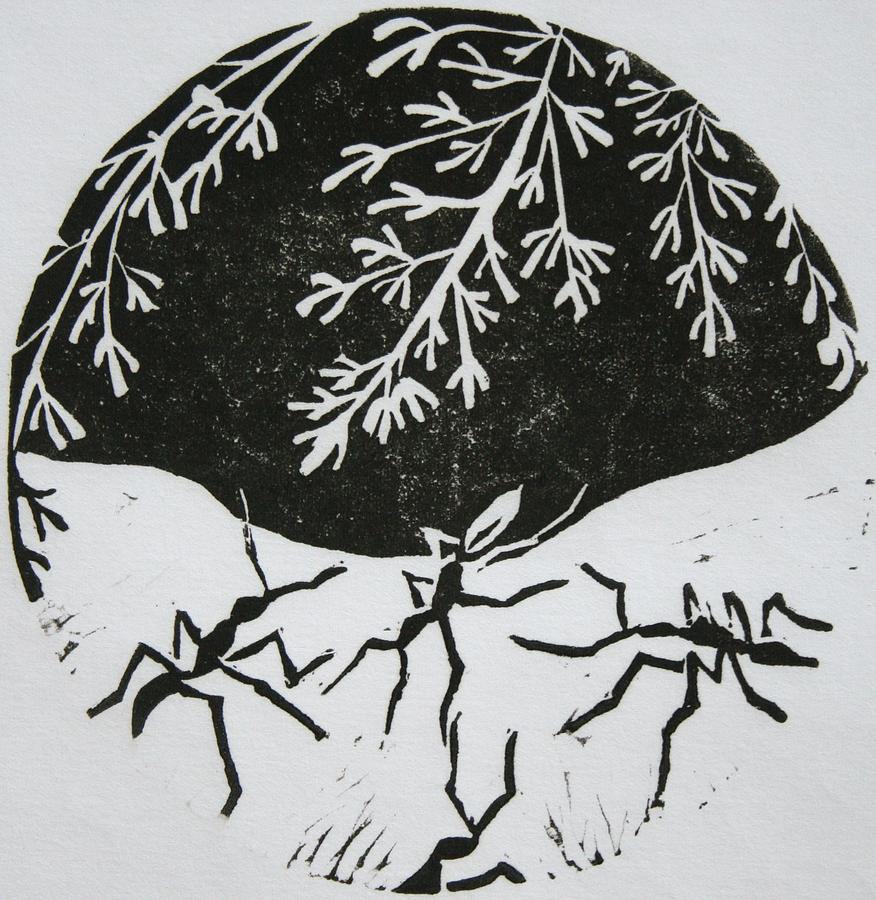 876x900 yin yang drawing - Yin Yang Drawing