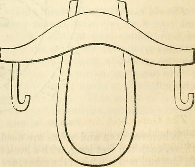 640x549 Single Yoke, Drawing Leah D Schade - Yoke Drawing