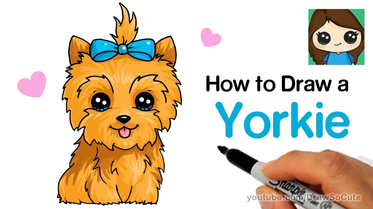 1280x720 how to draw a yorkie easy jojo siwa's bowbow - Yorkie Cartoon Drawing