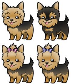 236x279 squided yorkshire terrier, yorkie puppy - Yorkie Cartoon Drawing