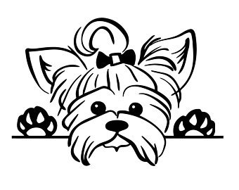 340x270 yorkie etsy - Yorkie Cartoon Drawing