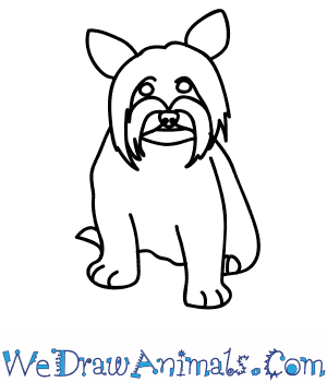 300x350 How To Draw A Yorkie Dog - Yorkie Dog Drawing