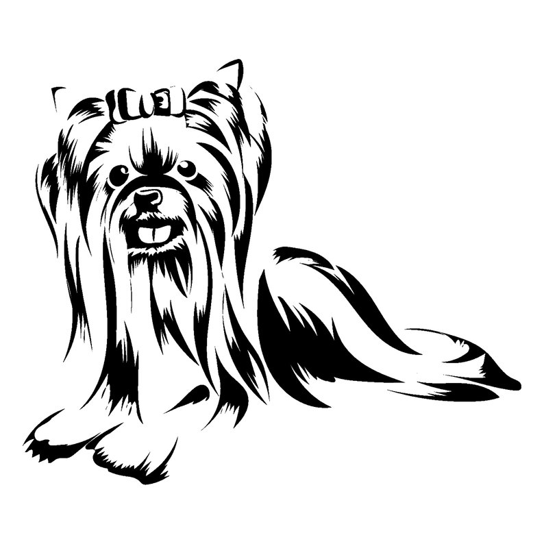 794x794 yorkshire terrier puppy peeking yorkie dog breed k etsy - Yorkie Dog Drawing