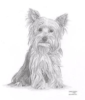 Yorkie Drawing at PaintingValley.com | Explore collection of Yorkie Drawing