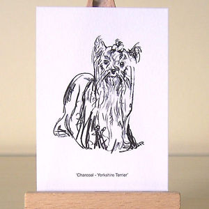 300x300 yorkie miniature drawing yorkshire terrier aceo art card ebay - Yorkie Drawing