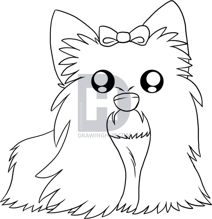 698x720 How To Draw A Yorkie, Step - Yorkie Line Drawing