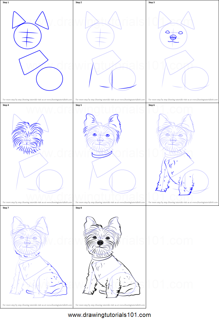 751x1107 How To Draw Yorkie Puppy Printable Step - Yorkie Line Drawing