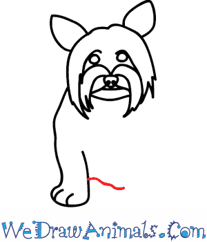 300x350 How To Draw A Yorkie Dog - Yorkie Line Drawing