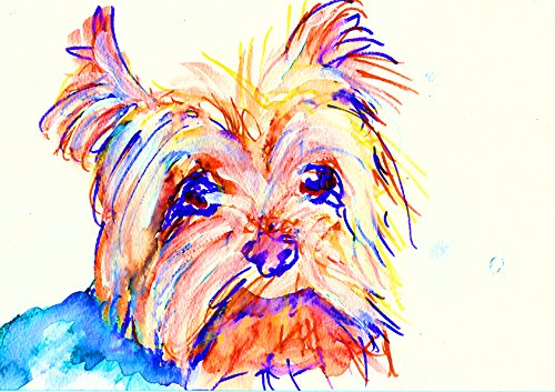 500x353 yorkshire terrier art, colorful modern yorkie home - Yorkie Line Drawing
