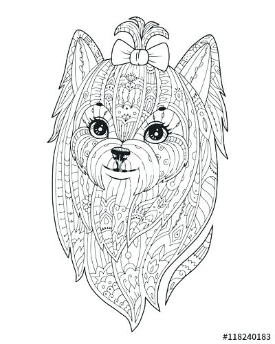 400x500 Splendid Ideas Yorkie Coloring Pages - Yorkie Line Drawing