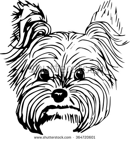 432x470 Terrier Clipart Yorkie Puppy - Yorkie Line Drawing