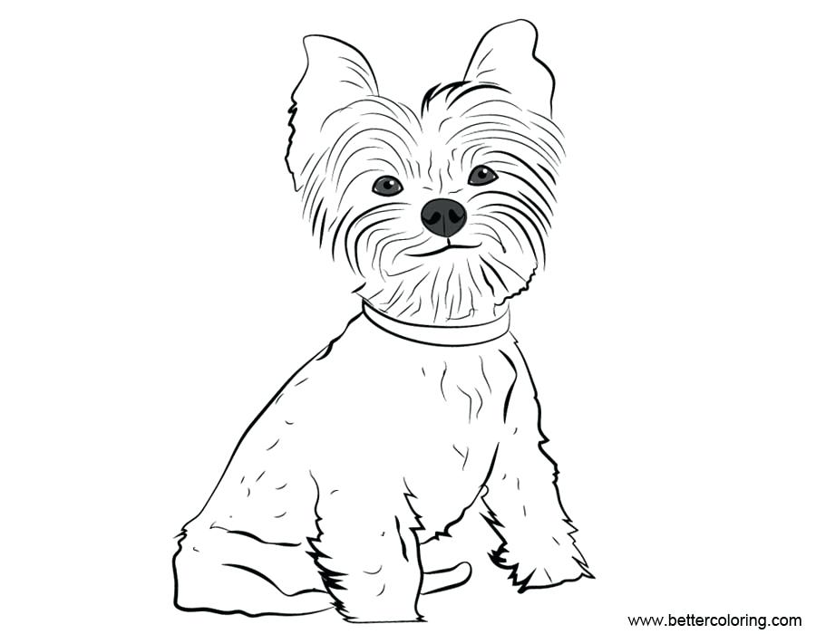 Yorkie Line Drawing at PaintingValley.com | Explore collection of ...