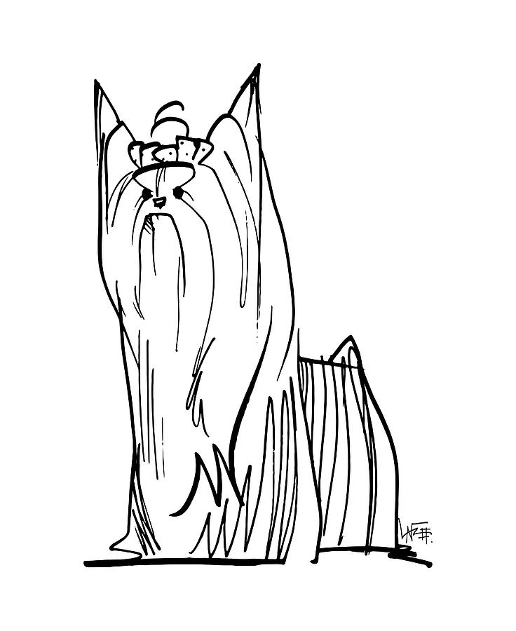 736x900 Yorkie Gesture Sketch Drawing - Yorkie Line Drawing