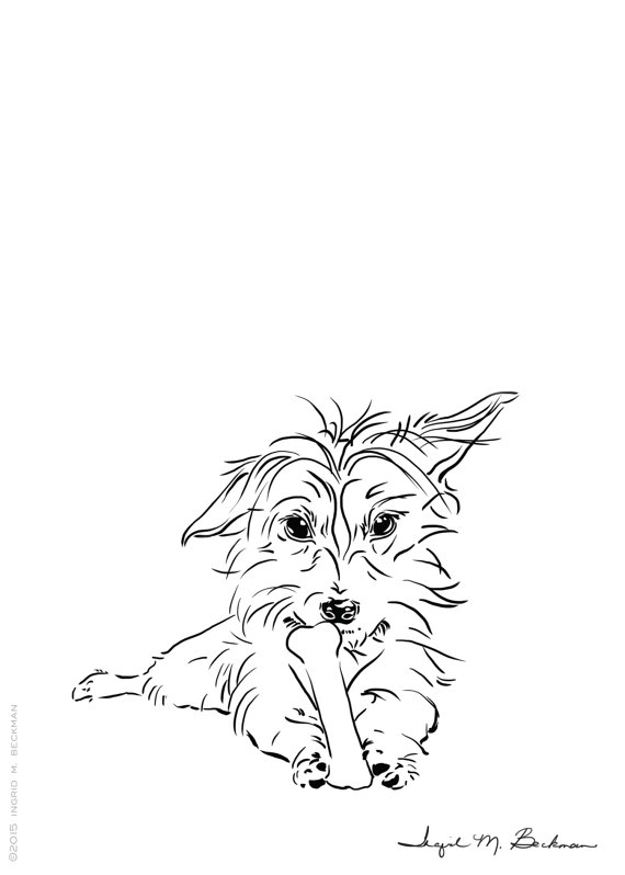 570x798 yorkie art, dorkie art, dachshund art, cute dog art, black - Yorkie Line Drawing