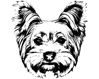 340x270 Yorkie Clipart Etsy - Yorkie Line Drawing