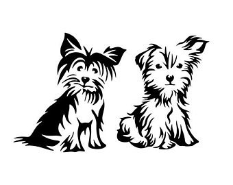 Download Yorkie Line Drawing at PaintingValley.com | Explore collection of Yorkie Line Drawing