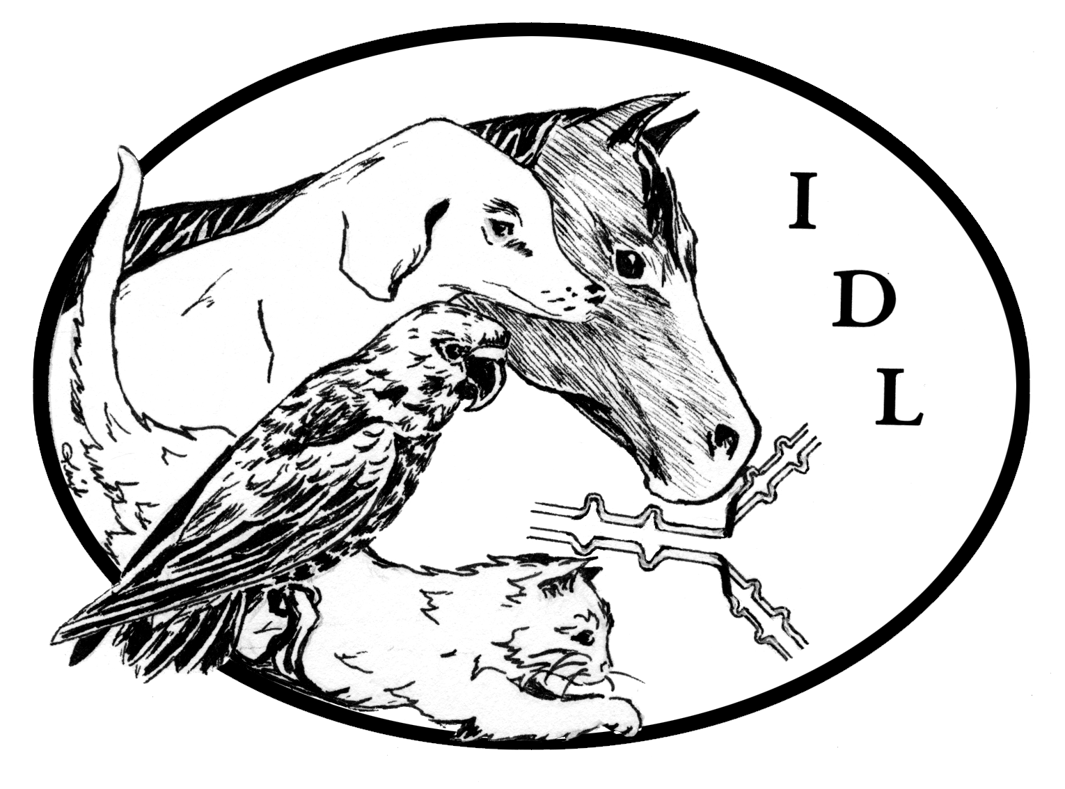 1530x1134 Drawing Laboratory Yorkie Transparent Png Clipart Free Download - Yorkie Line Drawing