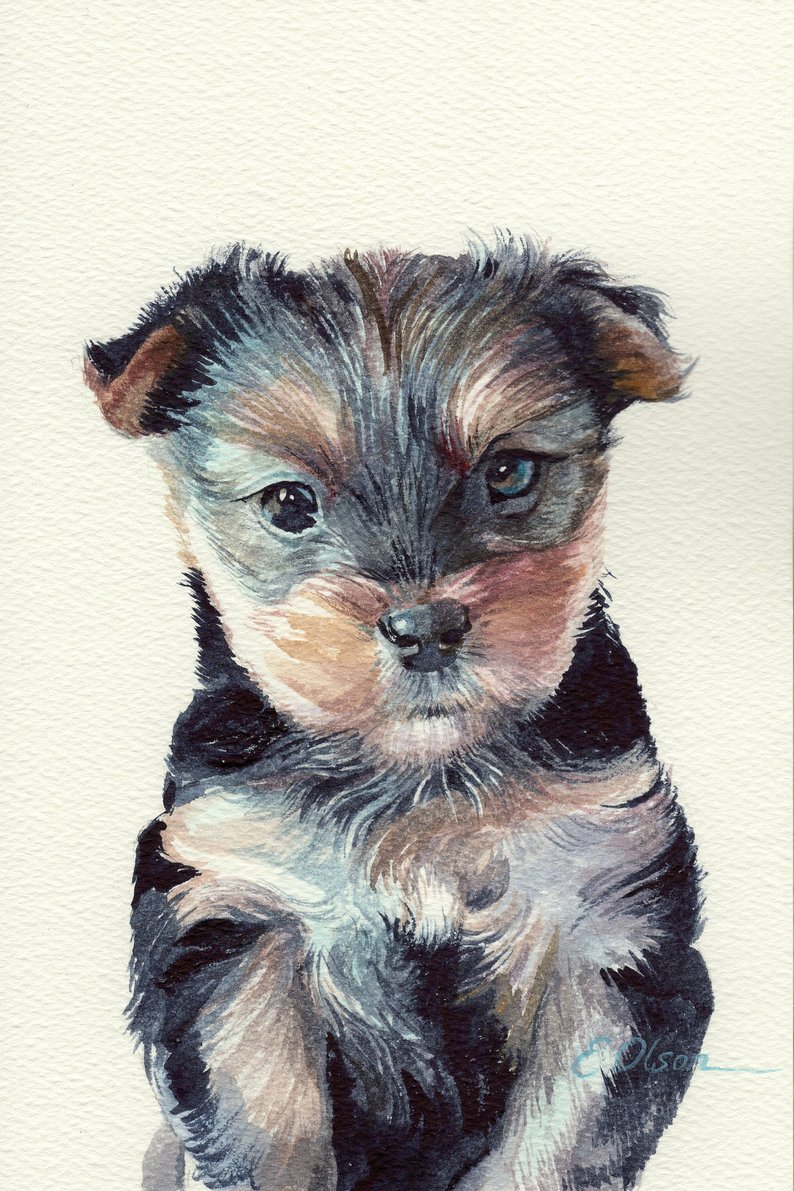 794x1191 original watercolor painting watercolor yorkshire terrier etsy - Yorkie Puppy Drawings
