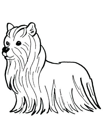 360x480 Yorkie Coloring Pages Terrier Coloring - Yorkie Puppy Drawings