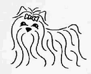 319x262  - Yorkie Puppy Drawings