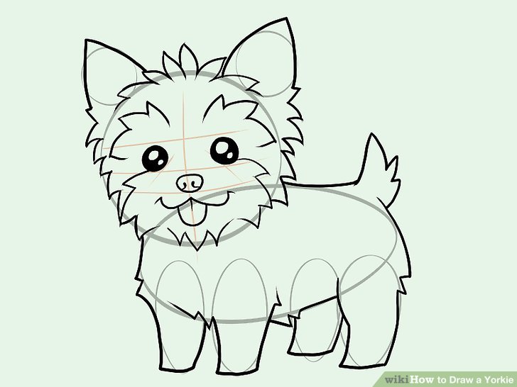 728x546 How To Draw A Yorkie - Yorkie Puppy Drawings