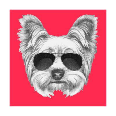 400x400 portrait of yorkshire terrier dog with sunglasses hand drawn - Yorkshire Terrier Drawing