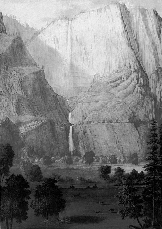 622x877 national park service museum centennial - Yosemite Drawing