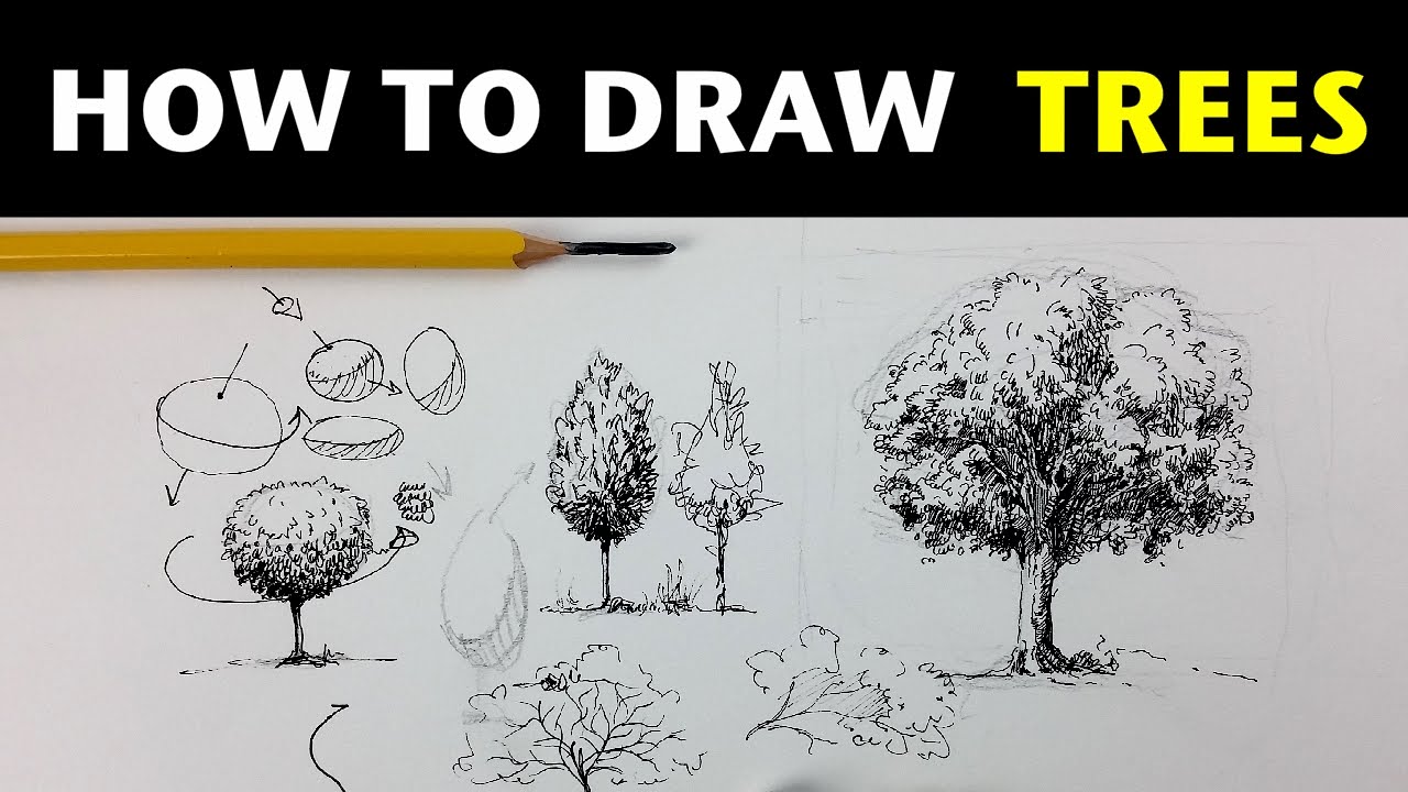 1280x720 How To Draw Trees With Pen Ink - Youtube Drawing Tutorials