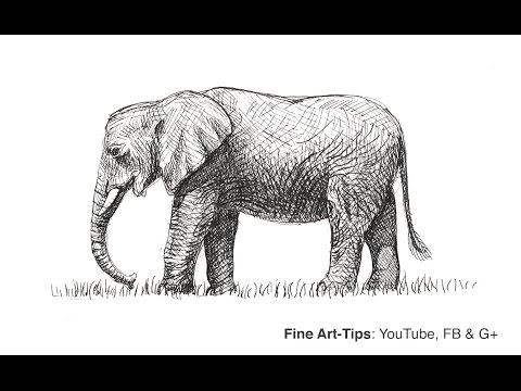 480x360 How To Draw An African Elephant With Markers - Youtube Elephant Drawing