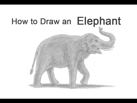 480x360 How To Draw An Asian Elephant - Youtube Elephant Drawing
