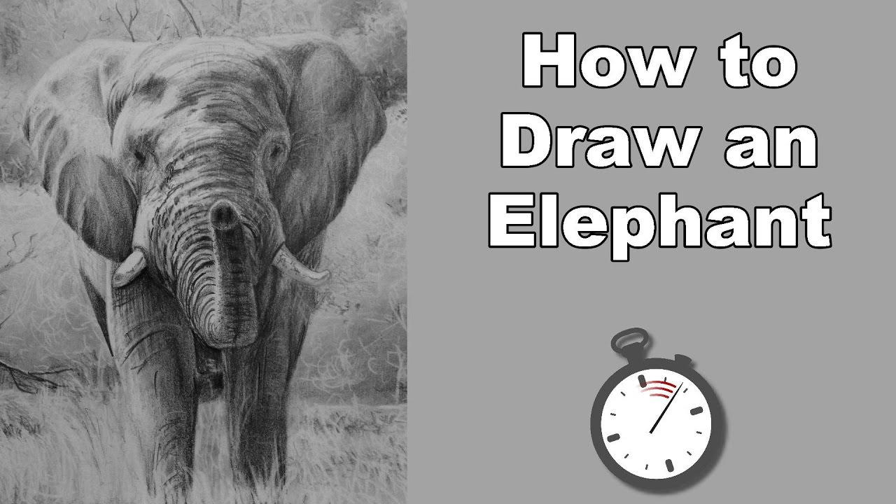 1280x720 How To Draw An Elephant In Pencil Time Lapse Drawing Tutorial - Youtube Elephant Drawing