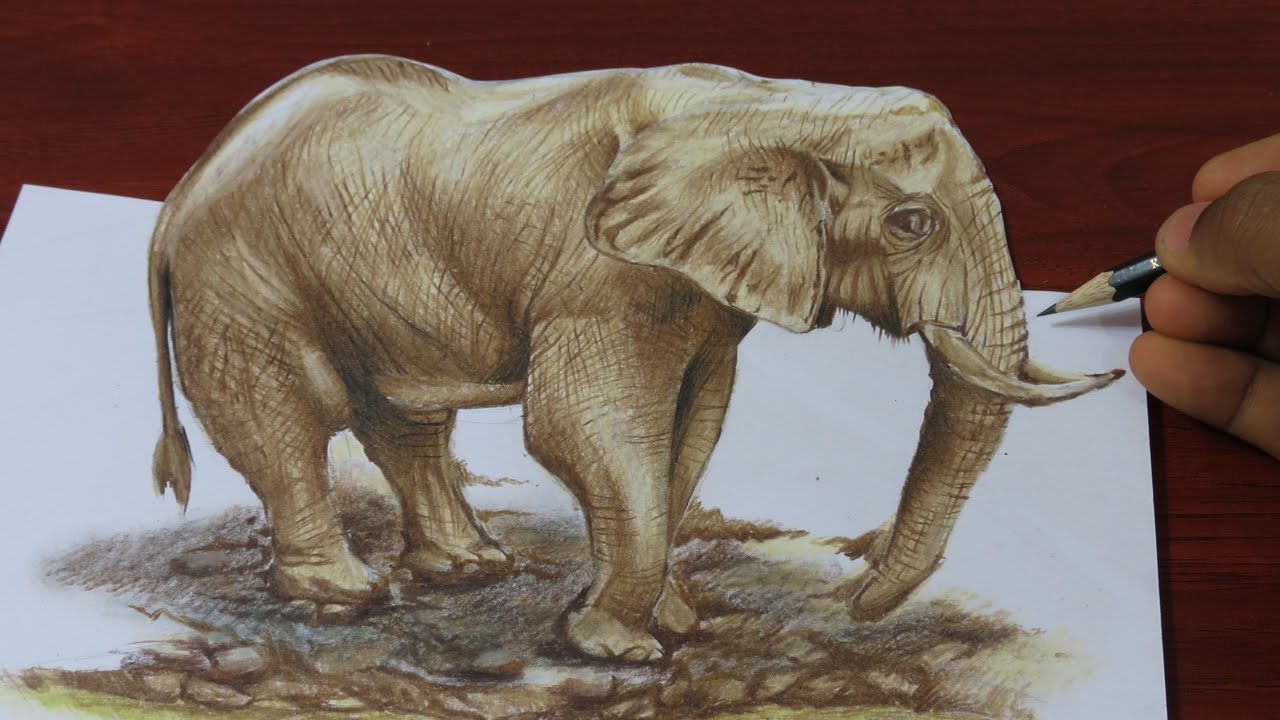 1280x720 Drawing A Elephant - Youtube Elephant Drawing