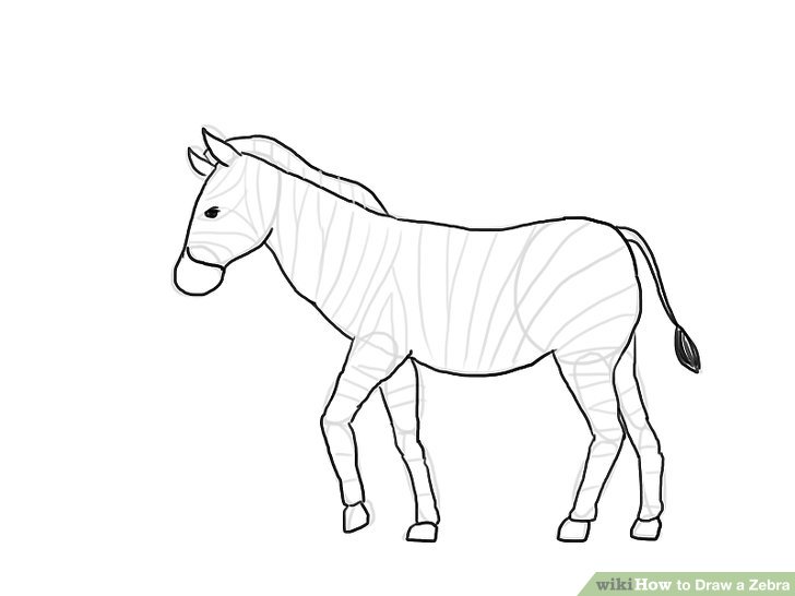 728x546 How To Draw A Zebra - Zebra Cartoon Drawing