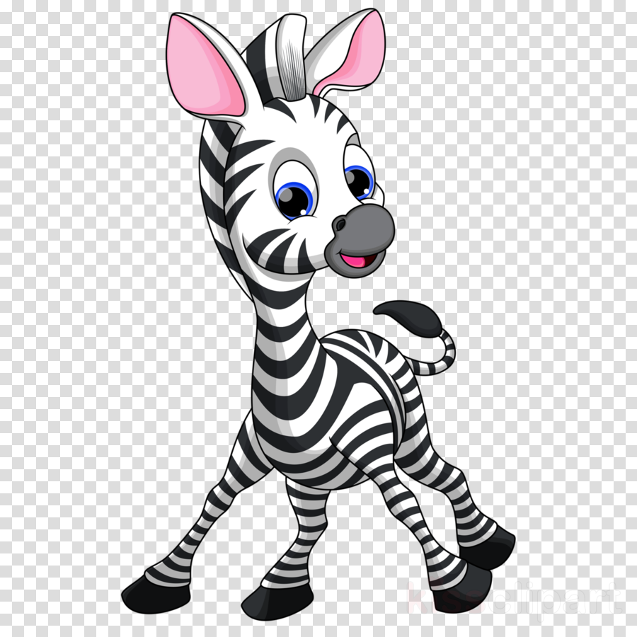 900x900 Illustration, Cartoon, Drawing, Transparent Png Image Clipart - Zebra Cartoon Drawing