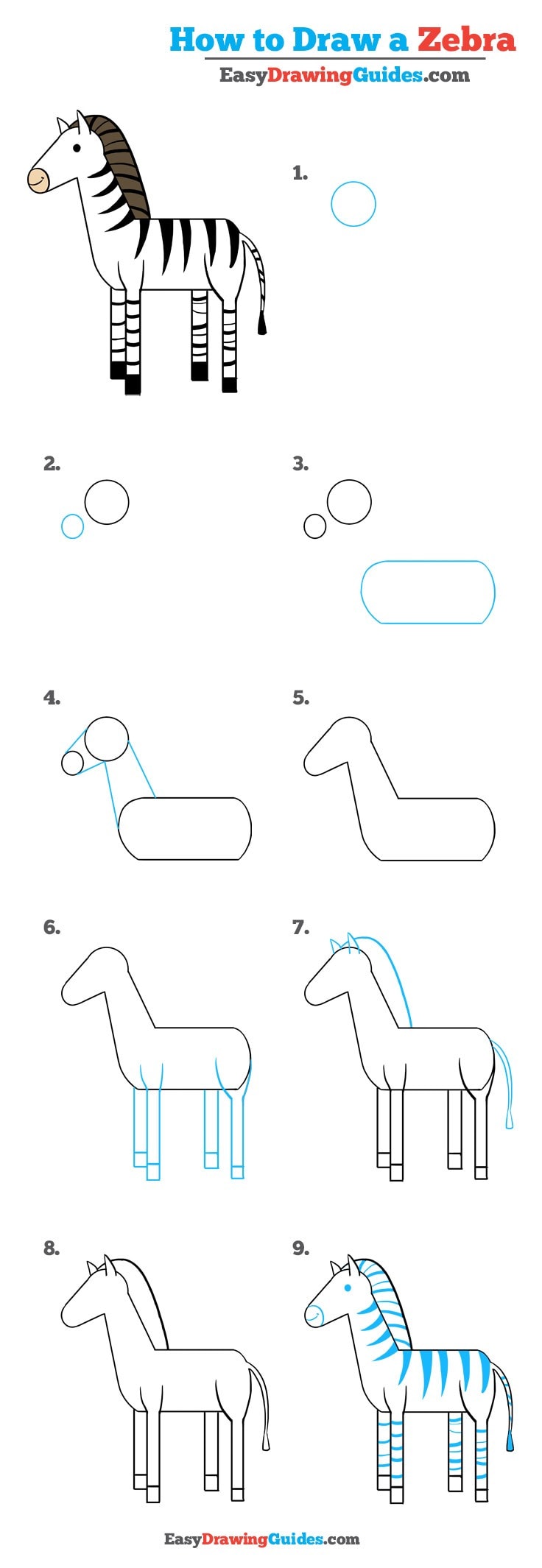 736x2130 How To Draw A Zebra - Zebra Drawing