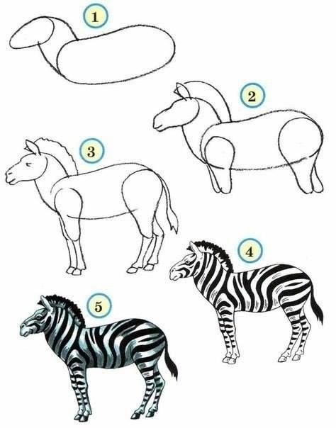 474x604 How To Draw Zoo Animals Easily Diy Zoo Drawing, Zebra Drawing - Zebra Drawing Easy