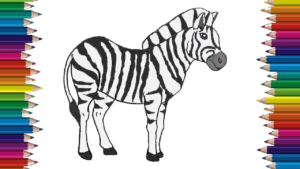 300x169 How To Draw A Zebra Step - Zebra Drawing Easy