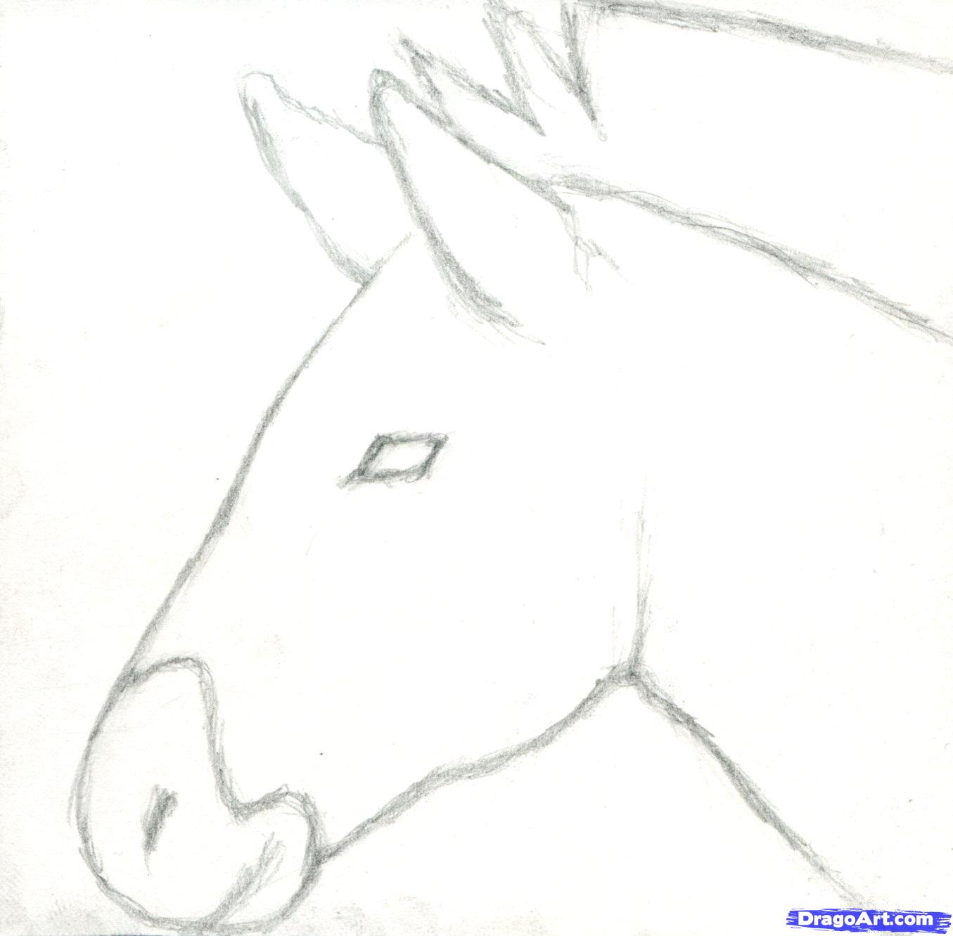 1355x1331 how to draw a zebra, draw a realistic zebra, step - Zebra Drawing For Kid