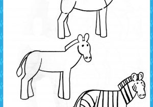 300x210 How To Draw Zebras Easy - Zebra Drawing For Kid